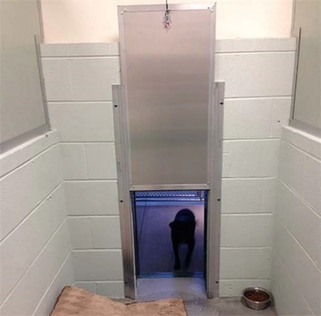 Security Boss Kennel Clad Insulated Guillotine Kennel Door - Image 3