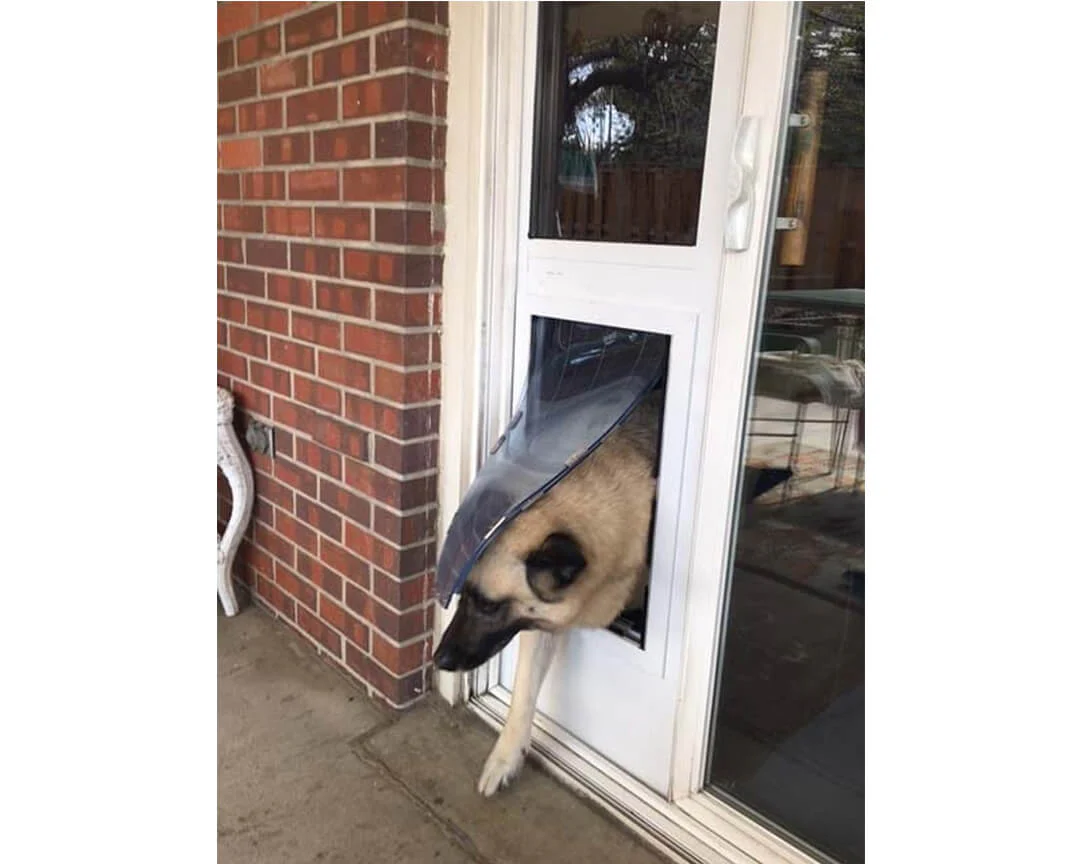 Security Boss MaxSeal Lockable Patio Pet Door Insert - Image 3
