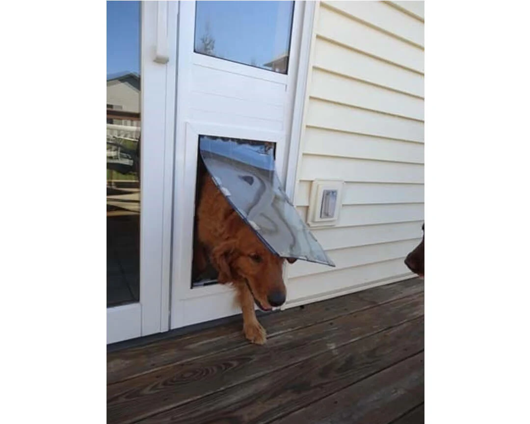Security Boss MaxSeal Lockable Patio Pet Door Insert - Image 4