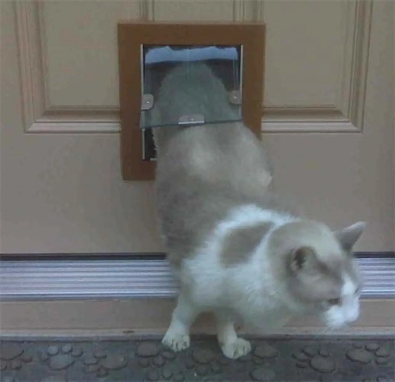 Security Boss MaxSeal Pet Door for Doors - Image 6