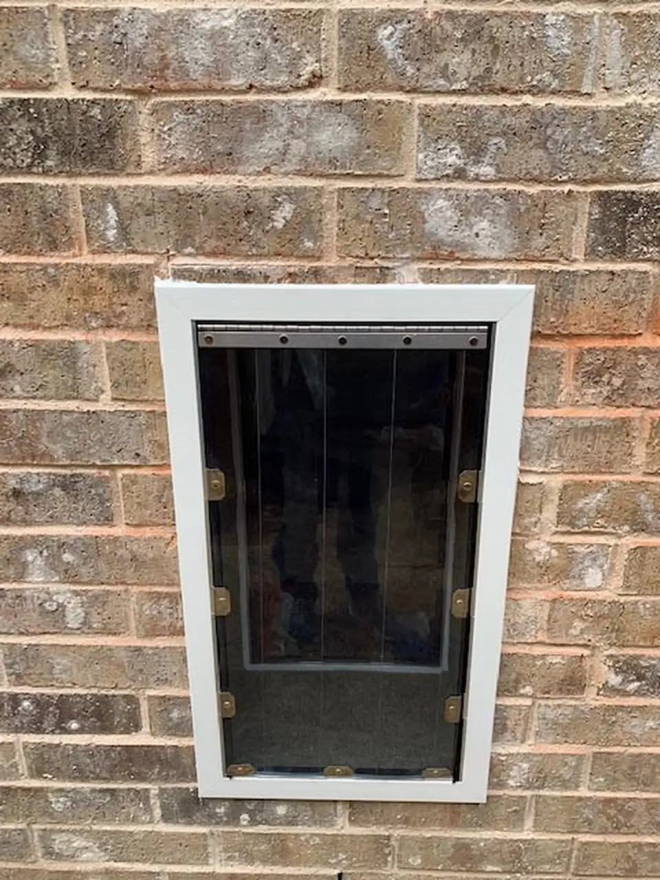 Security Boss MaxSeal PRO Pet Door for Walls - Image 4