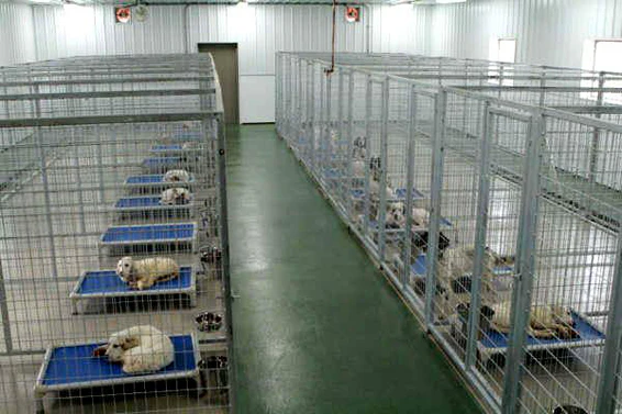 TK Products Pro-Series Backless Multi-Dog Kennel | Indoor/Outdoor Runs - Image 10