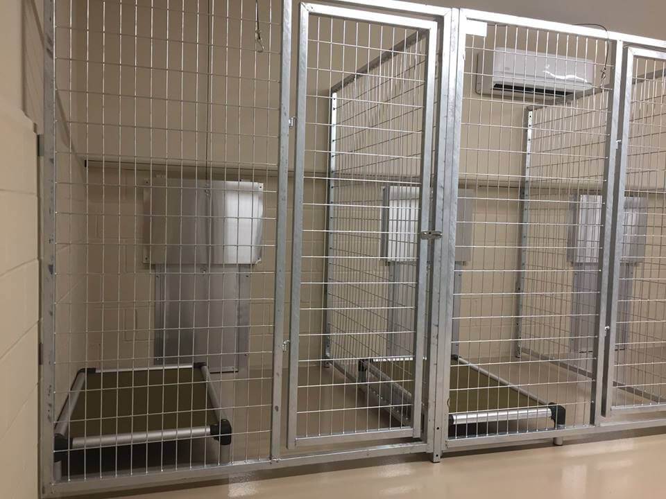 TK Products Pro-Series Backless Multi-Dog Kennel | Indoor/Outdoor Runs - Image 5