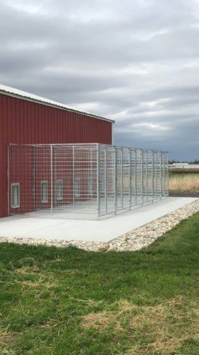 TK Products Pro-Series Backless Multi-Dog Kennel | Indoor/Outdoor Runs - Image 7