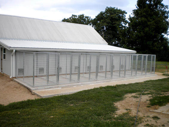TK Products Pro-Series Backless Multi-Dog Kennel | Indoor/Outdoor Runs - Image 8