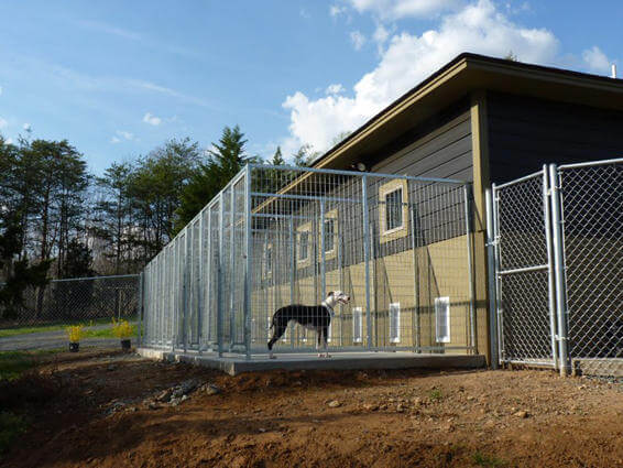 TK Products Pro-Series Backless Multi-Dog Kennel | Indoor/Outdoor Runs - Image 9