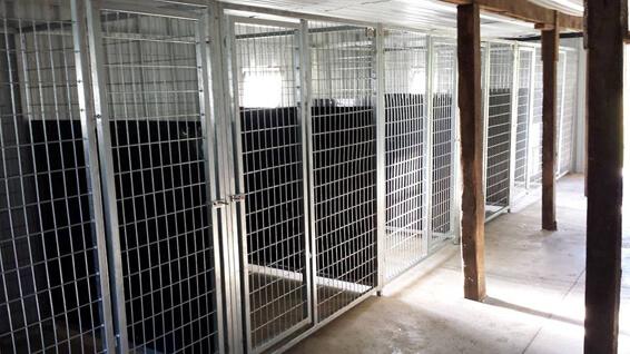 TK Products Dog Kennel Isolation Panels | HDPE Privacy Dividers - Image 6