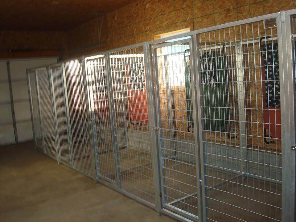 TK Products Enclosed Multi-Dog Kennel | Freestanding Indoor & Outdoor Runs - Image 6