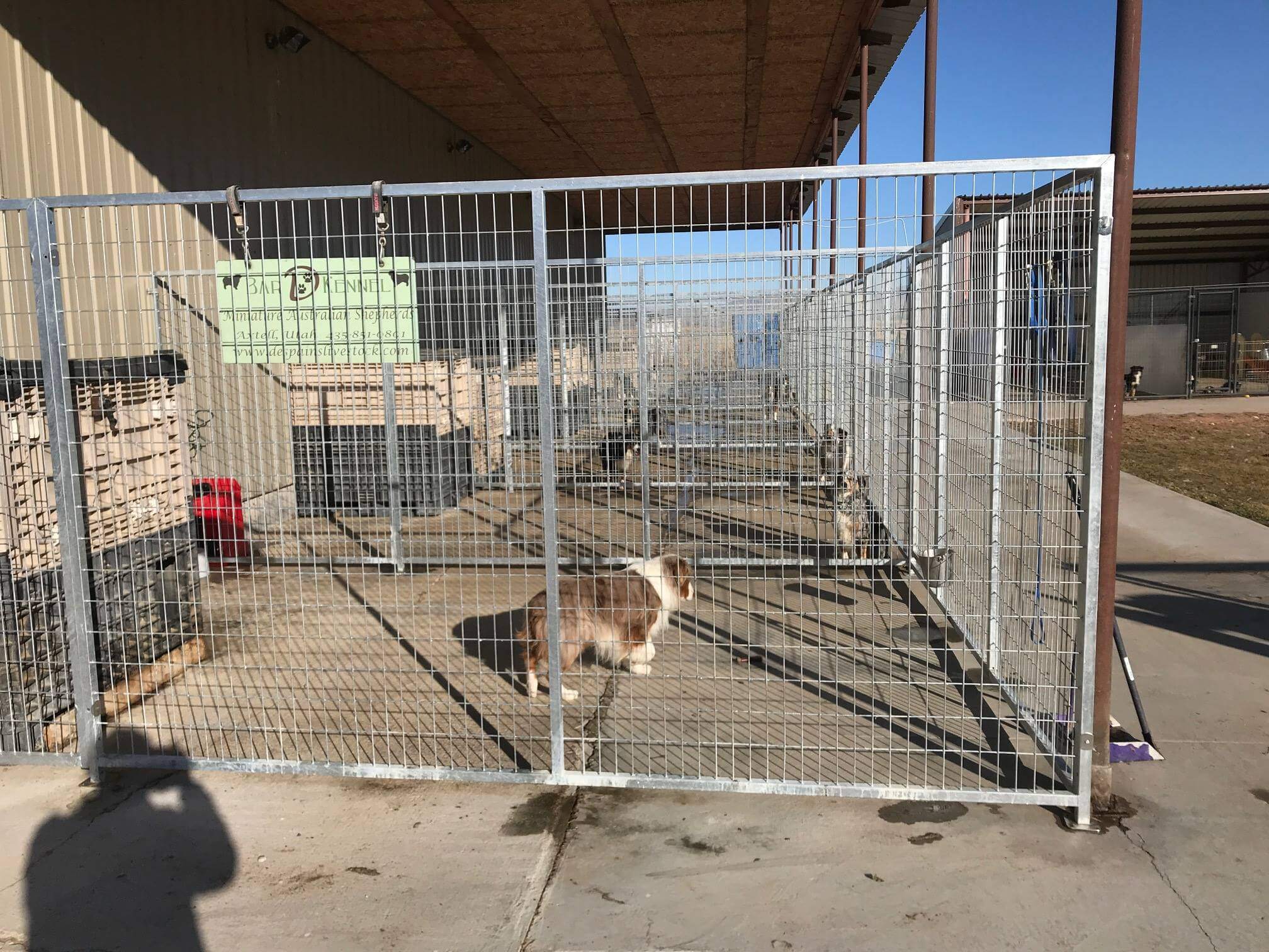 TK Products Enclosed Multi-Dog Kennel | Freestanding Indoor & Outdoor Runs - Image 9