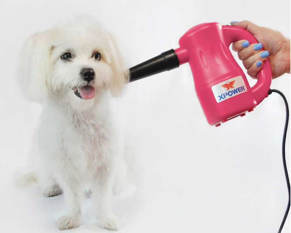 XPOWER B-53 Airrow Pro Multipurpose Home Pet Dryer - Image 3