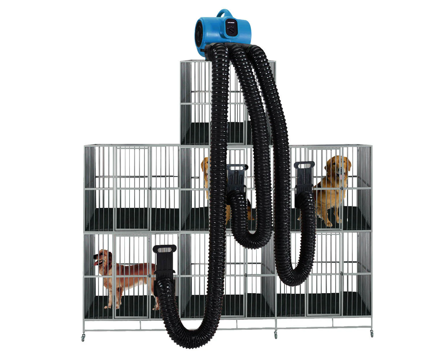 XPOWER X-430TF-MDK 3 Speed Pet Grooming Cage Dryer - Image 9